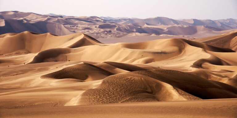 China conclui Grande Muralha Verde de 3 mil km ao redor de seu maior deserto