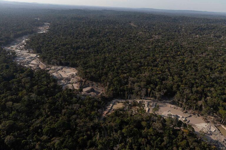 Em dois meses, garimpo destruiu área de 462 campos de futebol em áreas protegidas da Amazônia