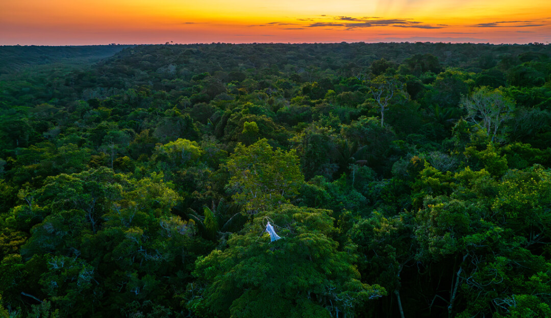 Equipe brasileira é premiada na competição internacional Xprize Rainforest