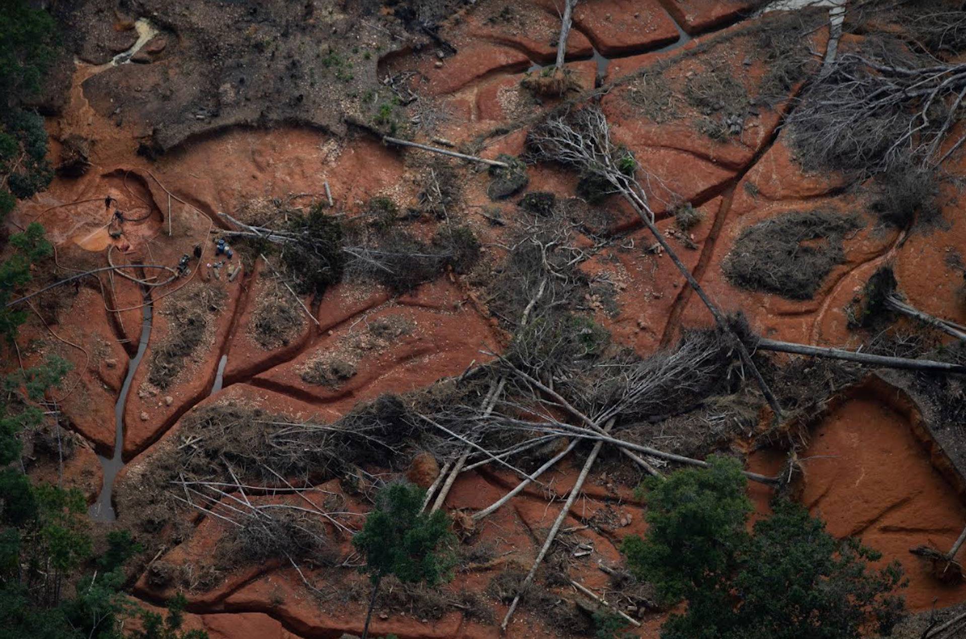 Garimpos ilegais de ouro podem emitir 3,5 toneladas de carbono por hectare e concentrar mercúrio no solo