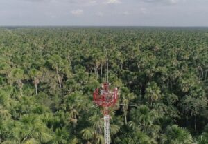 IIAP realiza estudo para determinar fluxos de gases do efeito estufa em floresta de Loreto, no Peru