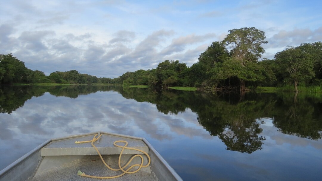 Iniciativa Amazônia+10 divulga resultado final da chamada Expedições Científicas; veja a lista