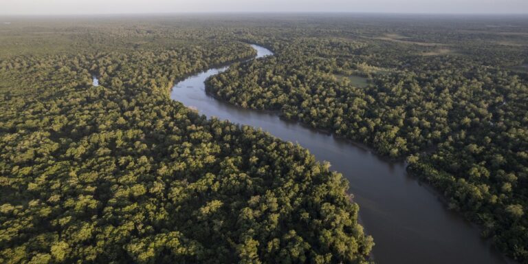 Por que não existem pontes sobre o rio Amazonas?