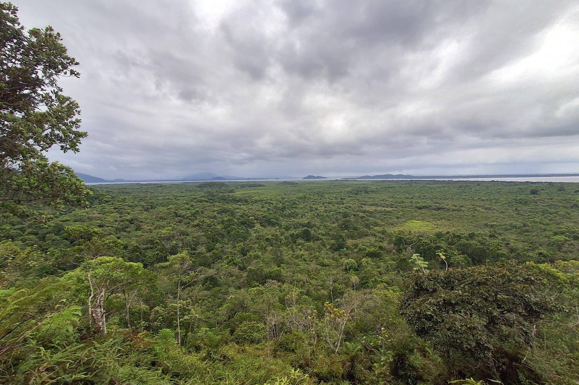 Restauração muda paisagem em Guaraqueçaba, no litoral do Paraná