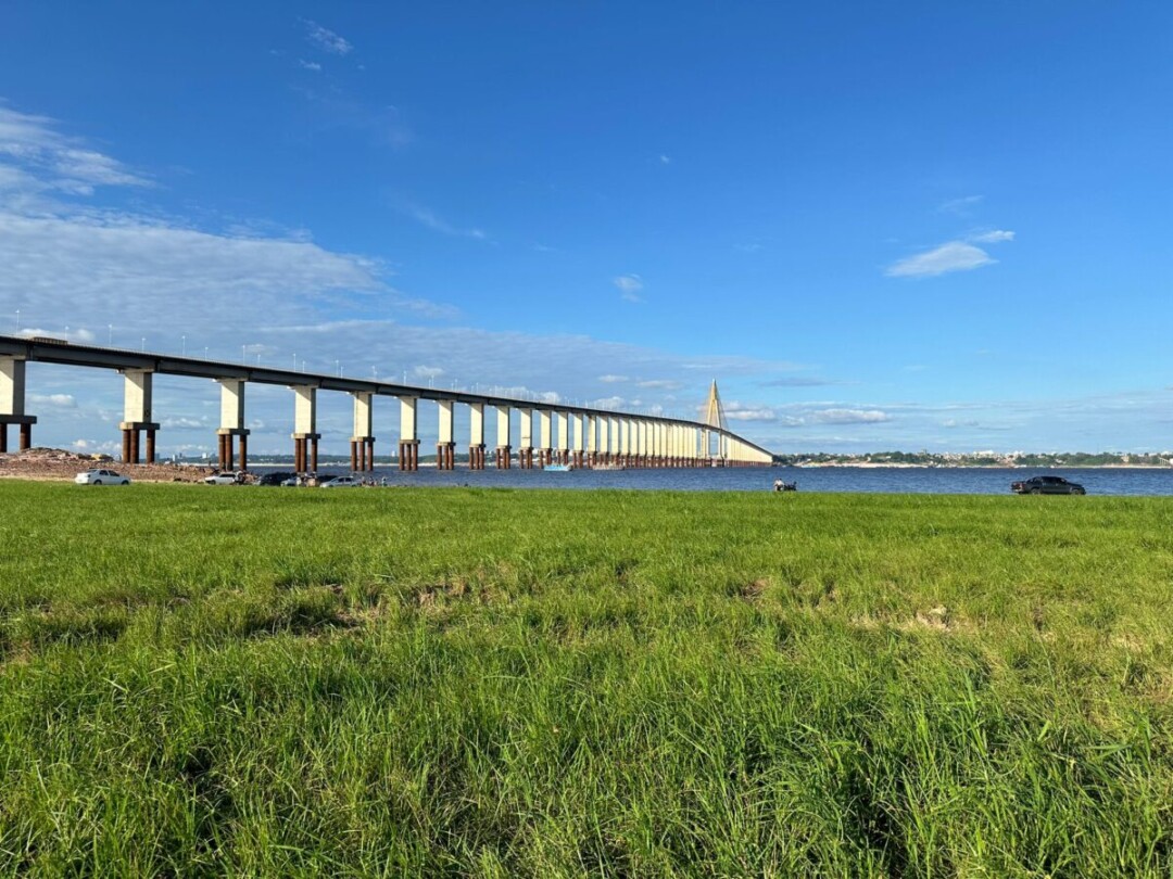 Seca extrema cria “parque” em Manaus, mas vegetação incomum põe em risco equilíbrio ecológico