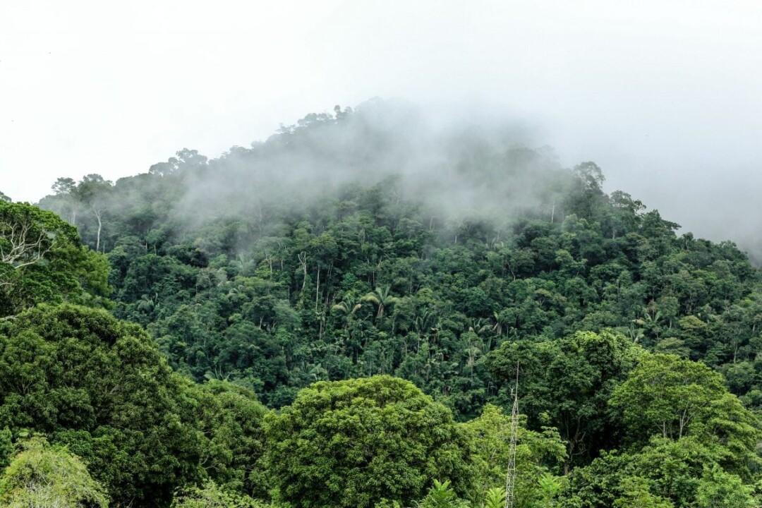 Acre ocupa 8º lugar entre estados que associam crescimento econômico a sustentabilidade