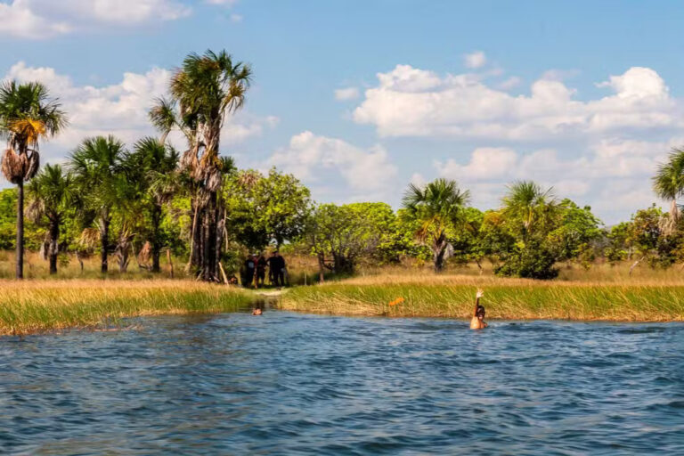 Aumento de 97%: Roraima recebe mais de 16 mil turistas internacionais e bate recorde em 2024