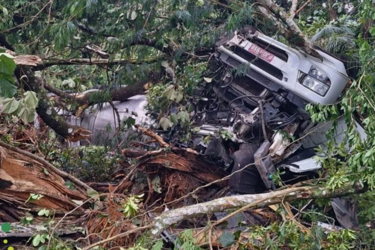 Caminhão tomba e derrama contaminante no Parque Nacional da Serra dos Órgãos