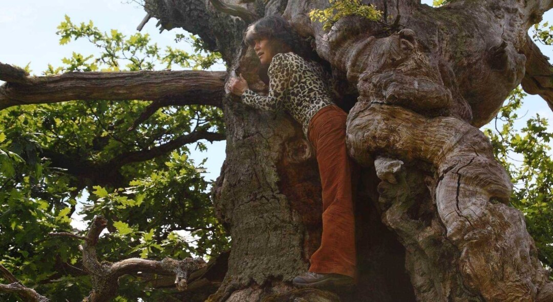 Criada por macacos? Colombiana relata experiência em livro