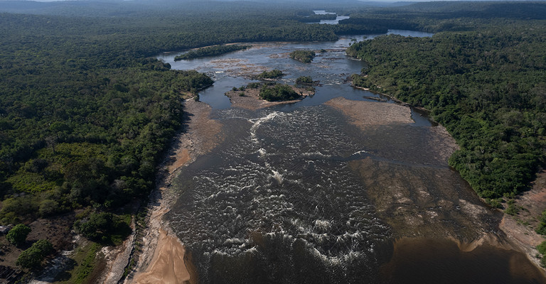 Espécies de peixes endêmicos desaparecem após construção de usinas hidrelétricas no Amazonas