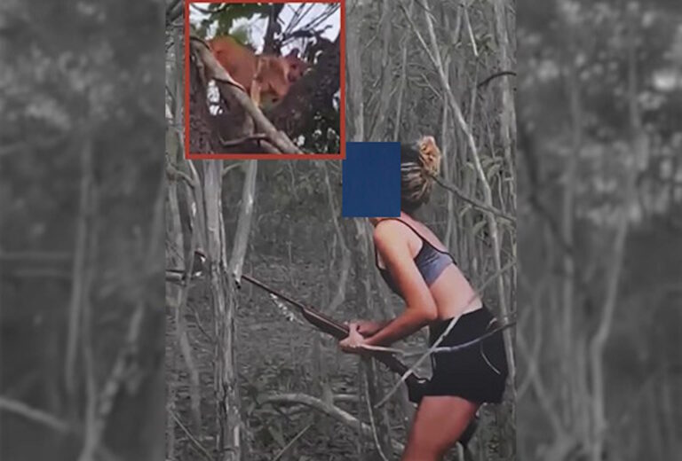 Ibama identifica mulher que torturou e matou onça-parda