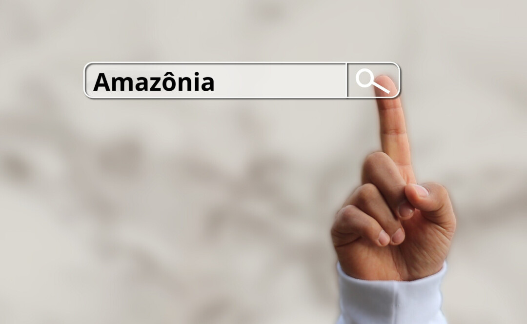 O que as pessoas mais buscam sobre a Amazônia?