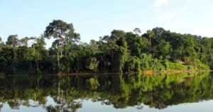 Observatório da Amazônia Oriental: ecótono Amazônia-Cerrado é criado no Maranhão