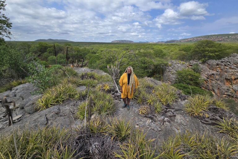 Piauí: Pré-história e Resiliência no Coração do Brasil