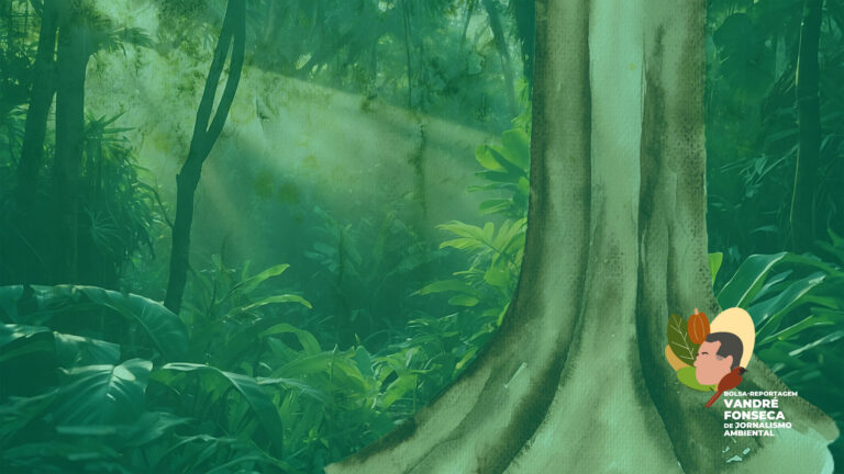 Podcast: Na sombra do Jequitibá: Biodiversidade e Economia das cabrucas 