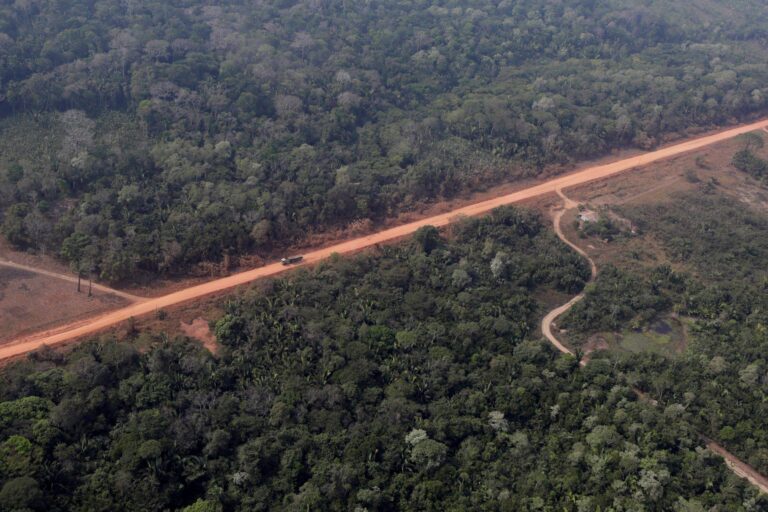 Resposta de pesquisadores à matéria: Volta ao Brasil em 75 parques nacionais