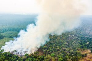 Temperatura global aumenta 1,6°C e segue subindo: "É como tentar parar um caminhão em alta velocidade"