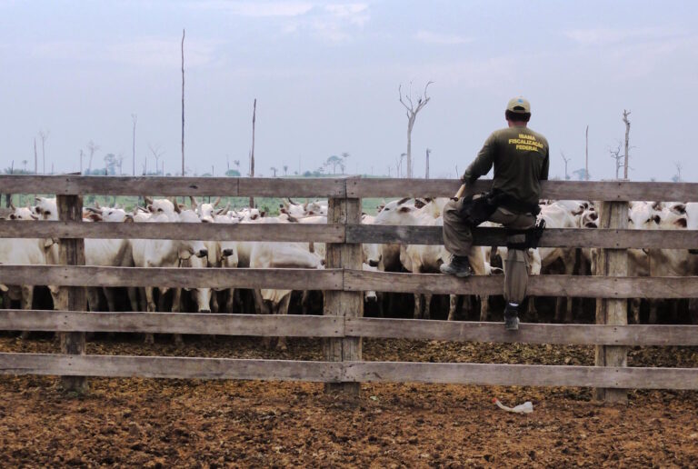 Apenas 5% das condenações do MPF a infratores na Amazônia são pagas