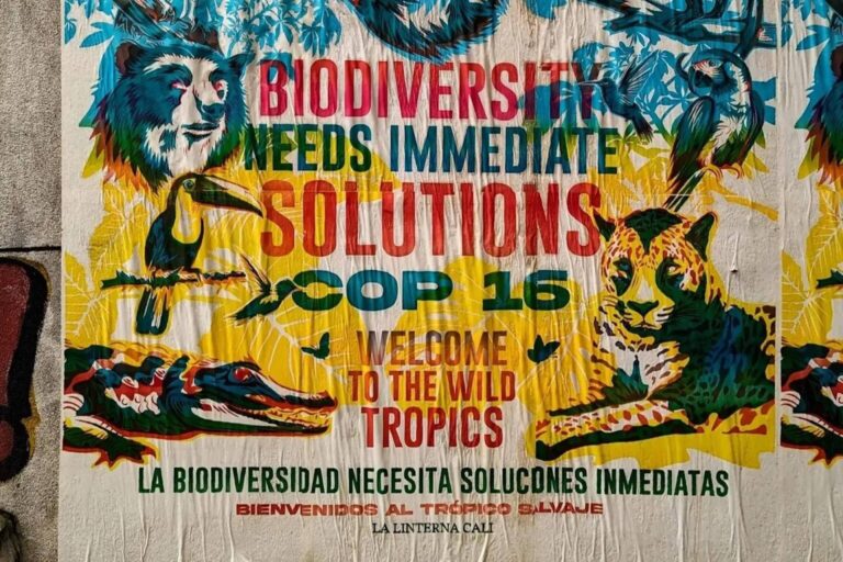 COP16.2 - Financiamento da biodiversidade avança, mas ainda faltam recursos