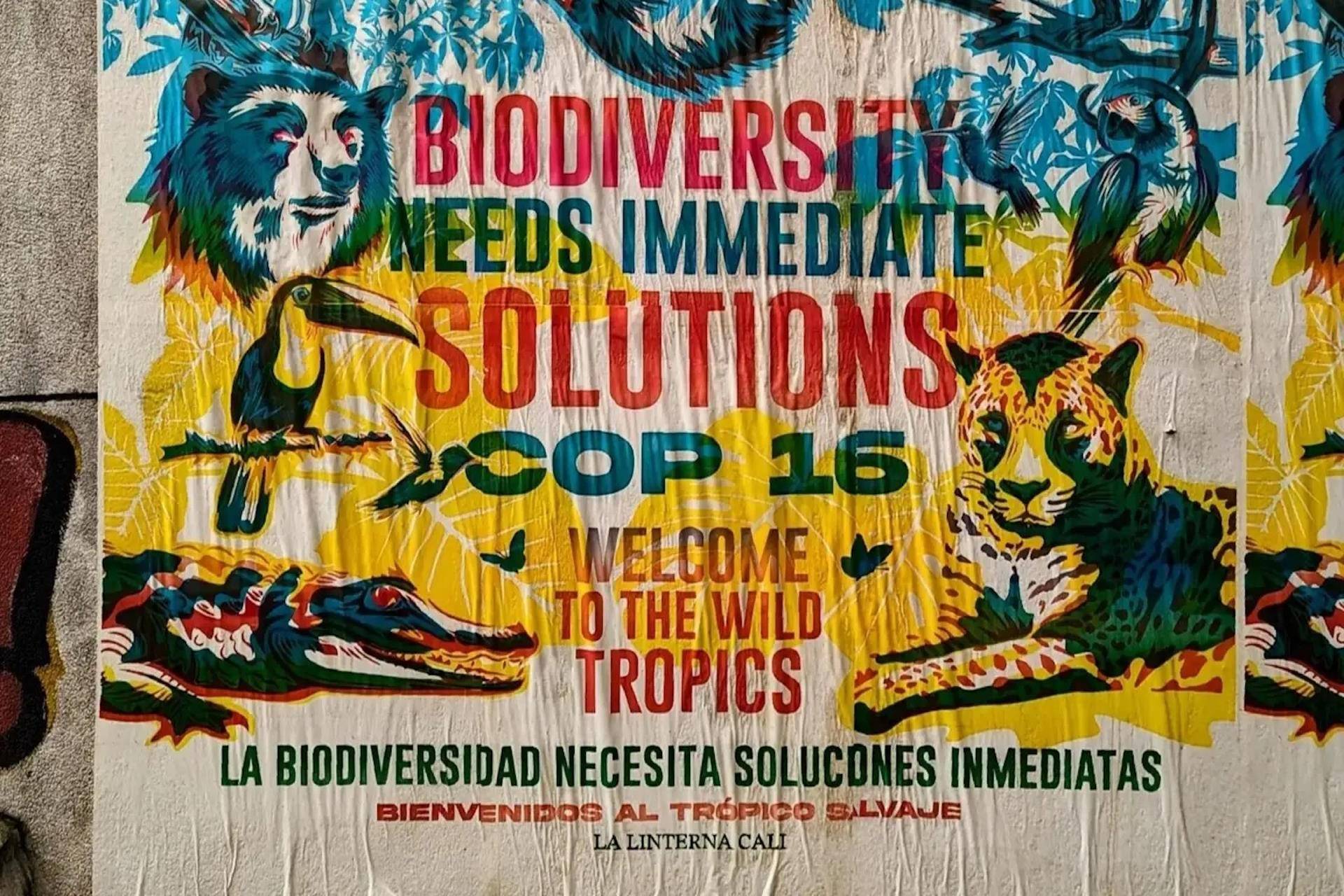 COP16.2 – Financiamento da biodiversidade avança, mas ainda faltam recursos
