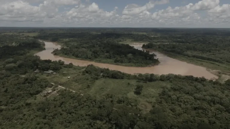 Com perda de mata ciliar, Rio Acre corre risco de colapso