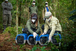 Family of black lion tamarins receives a new home to avoid local extinction