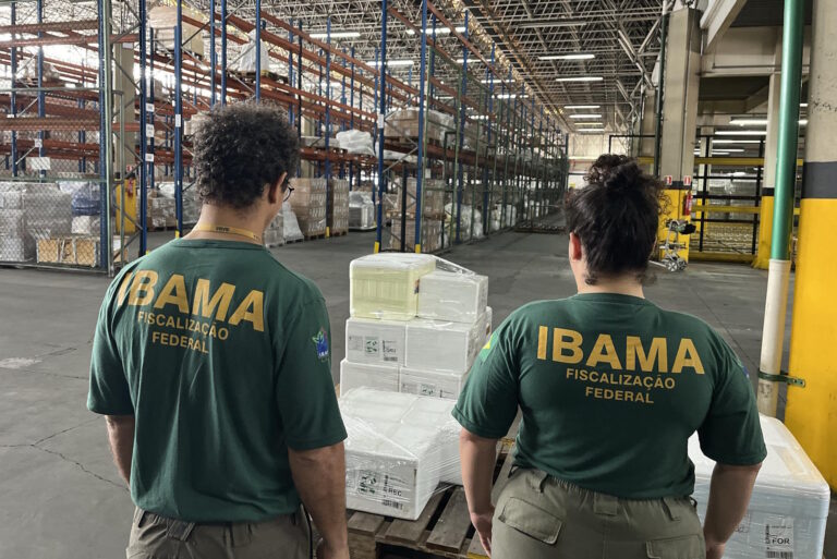 Inscrições para o concurso do Ibama vão até 18 de fevereiro