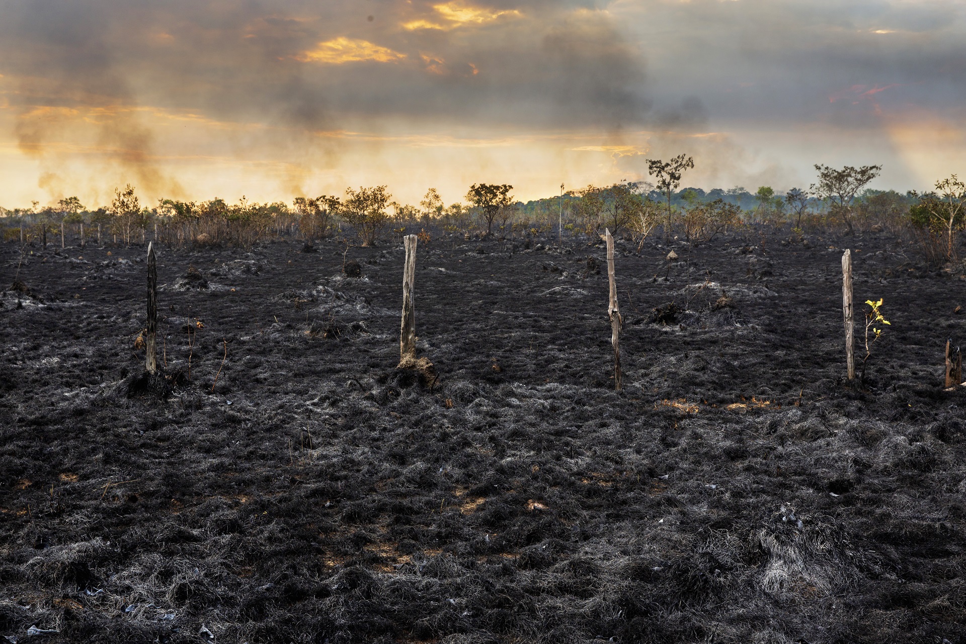 Mesmo com queda no desmatamento, fogo no entorno da BR-319 continua aumentando