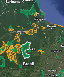 O que é e qual importância da Terra do Meio para a Amazônia