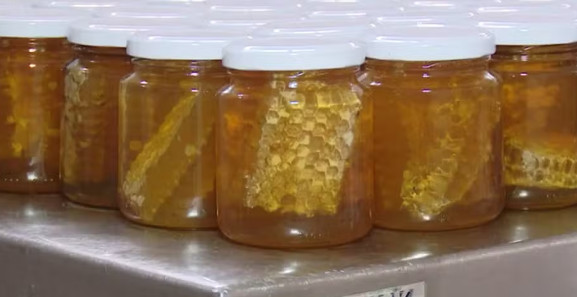 Produção de mel vira fonte de renda para famílias no Acre
