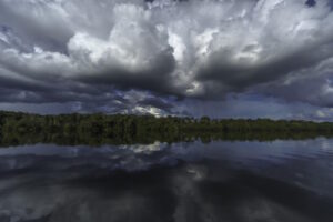 Uma área maior que a de Sergipe terá gestão integrada na Amazônia