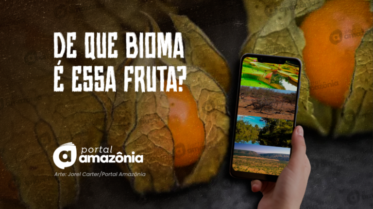 de que bioma é esta fruta?