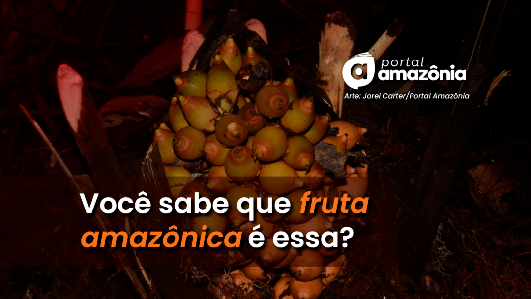 descubra se realmente conhece as frutas amazônicas