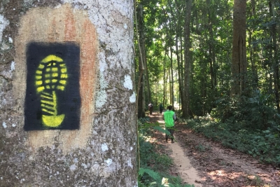 Associação Rede Brasileira de Trilhas elege nova presidência