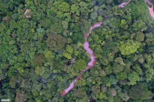 Brasil lança Metas Nacionais de Biodiversidade, mas não sabe qual o custo de implantá-las