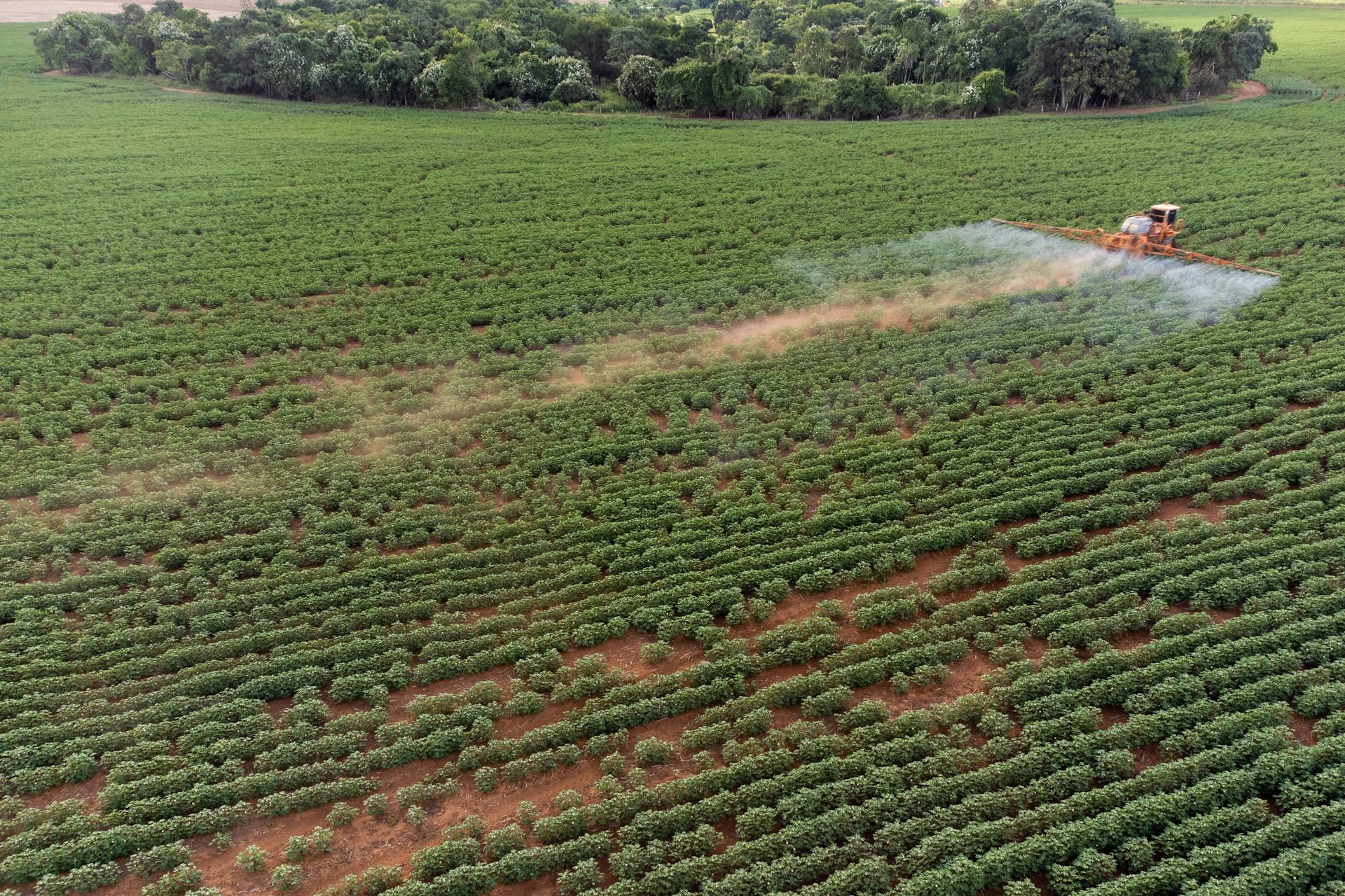 Brazil: first national parks found contaminated with agrotoxins