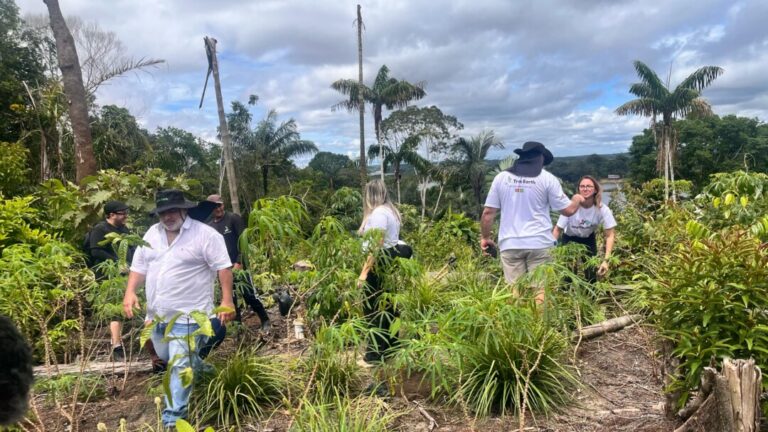 Carnaval Amazônico é encerrado com plantio de mudas para compensar o carbono produzido durante o projeto