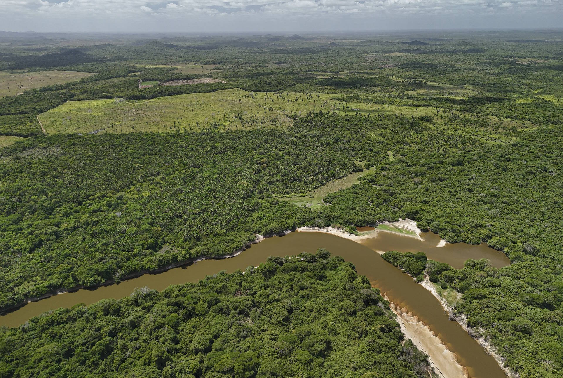 Desmatamento na Amazônia alcança menor valor da série histórica em fevereiro