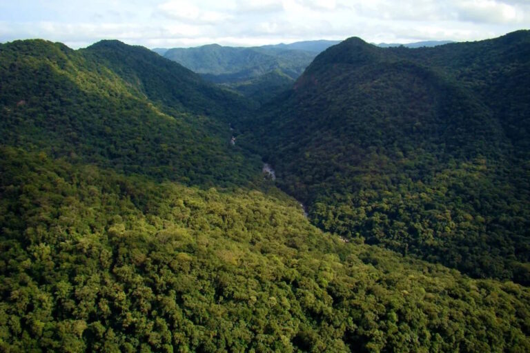 Entidades criticam pessoas morando e caçando em parques e outras unidades de conservação