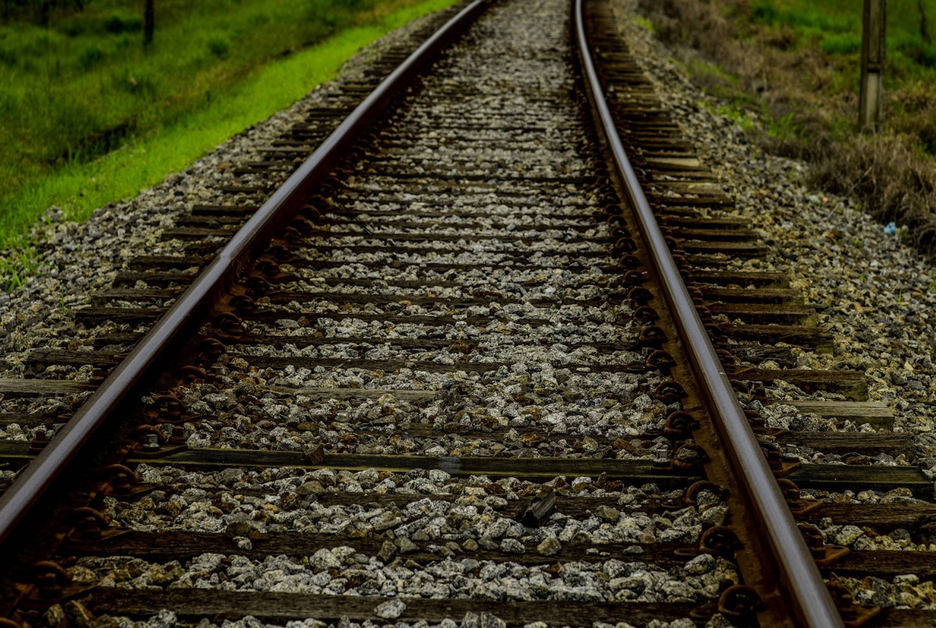 Estudo sobre Ferrogrão contém falhas na análise de desmatamento