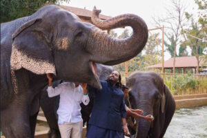 Lenha na fogueira das suspeitas sobre atuação de zoo de bilionário indiano