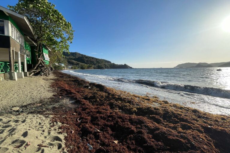 Foto: Renelle Kissoon / Acervo pessoal