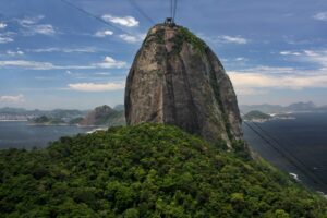 No Pão de Açúcar, trabalho voluntário inspira luta contra crise climática