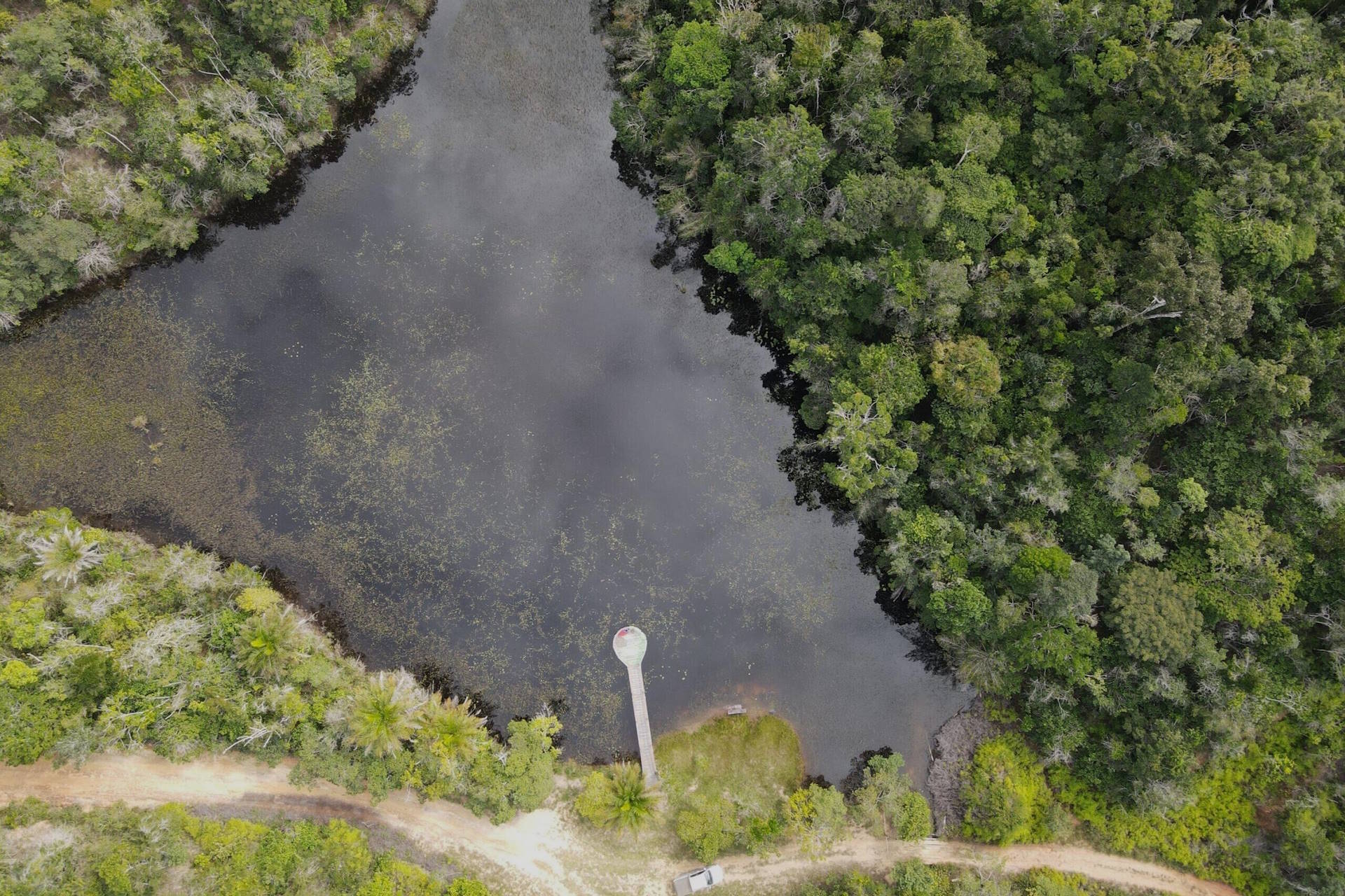Ocupação fecha os portões do Parque Nacional do Descobrimento, na Bahia