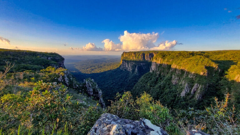 Parna dos Pacaás Novos: protetor de espécies ameaçadas