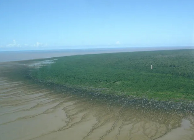 Portal Amazônia responde: o que é a Foz do Amazonas?