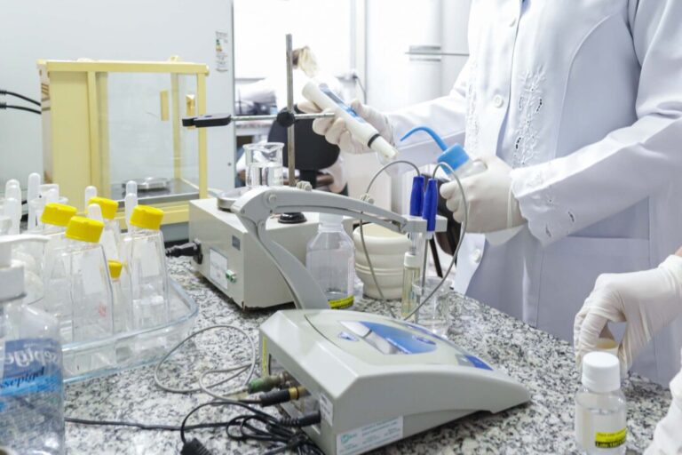 Quem está por trás de uma pesquisa científica sobre insetos?