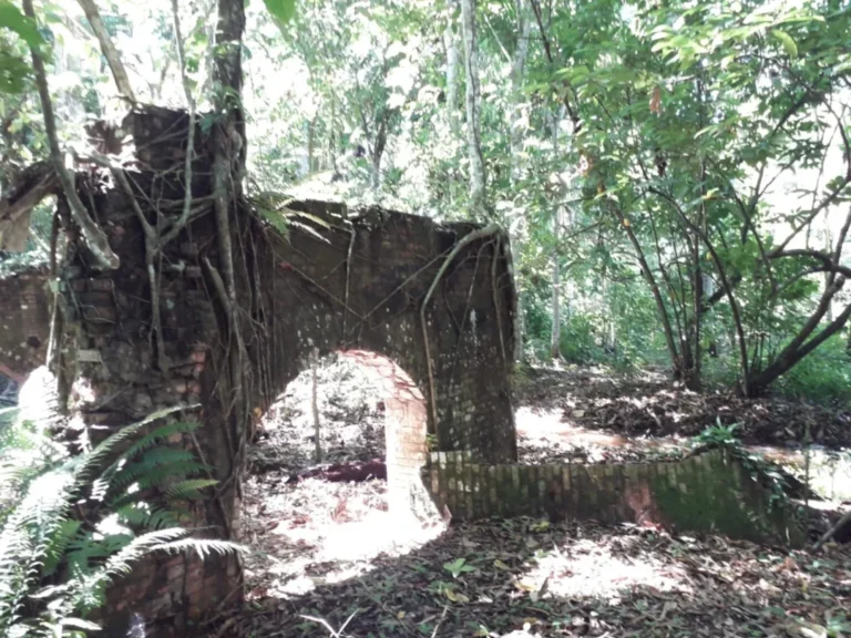 Sítio Arqueológico Daisaku Ikeda abriga vestígios que contribuem para entender a história indígena