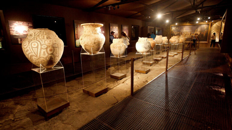 Tem a Amazônia vida inteligente?