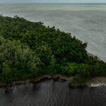 Uma análise crítica sobre as pesquisas de petróleo na Foz do Amazonas